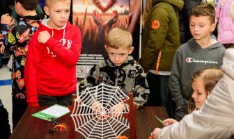 Гарбузовий вікенд (1-2.11.2025)