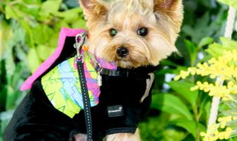 Караоке (7.03.2026)