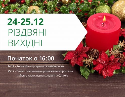 Празднуем Рождество в ТРЦ Любава